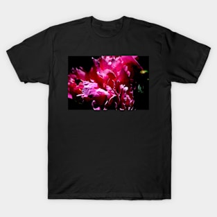 Peony Blossom T-Shirt